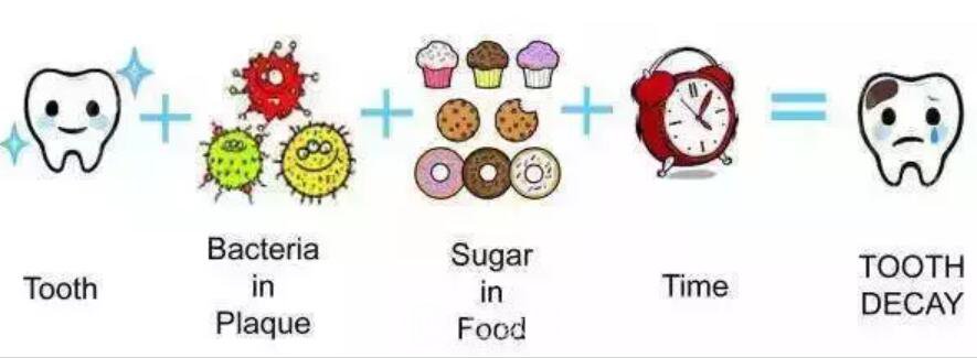 一口牙里，哪顆牙齒較容易長蛀牙？