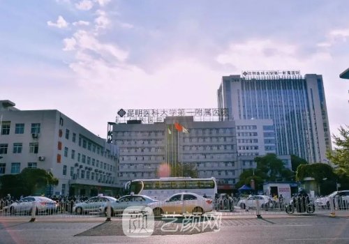 昆明腹壁整形術最好的醫(yī)