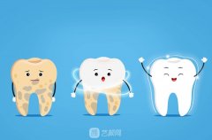 奧齒泰真實使用壽命：1