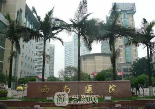 西南醫(yī)院植發(fā)價格貴嗎?自