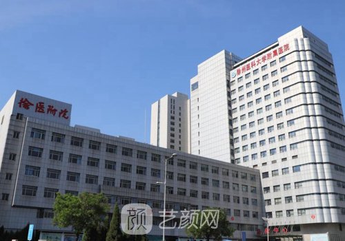 徐醫(yī)附院雙眼皮掛什么科