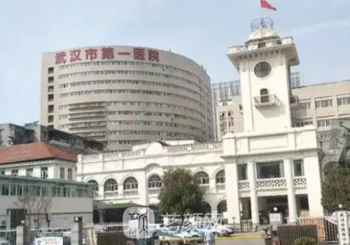武漢第一醫(yī)院整形排行榜