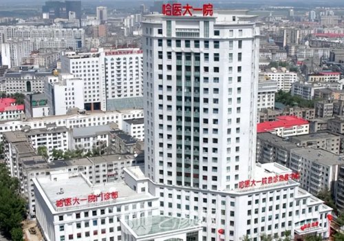 哈爾濱做鼻子哪家好?排名