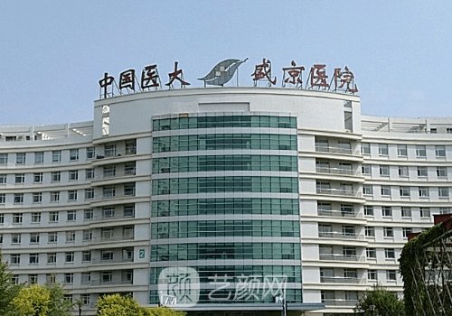 沈陽盛京醫(yī)院整形外科哪