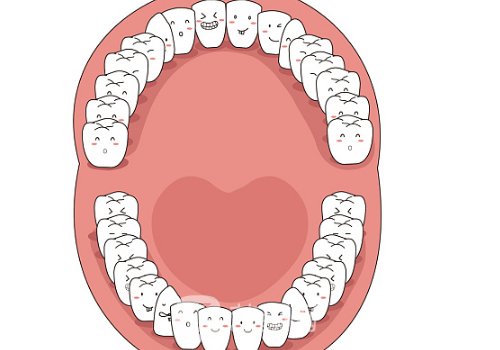 法國安卓健種植牙多少錢