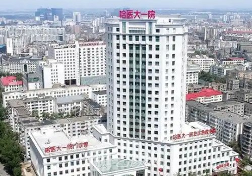 哈醫(yī)大一院私密整形手術(shù)