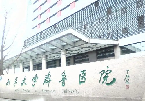 山東大學(xué)齊魯醫(yī)院整形科