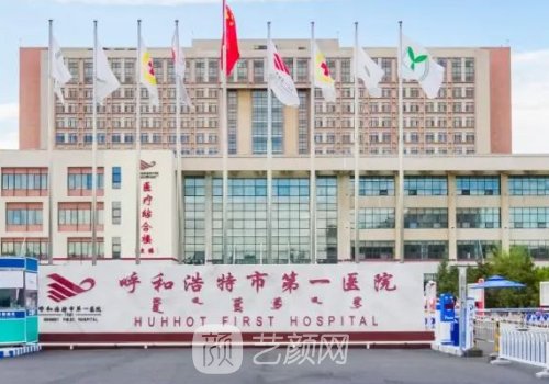 呼市第一醫(yī)院隆胸專家信