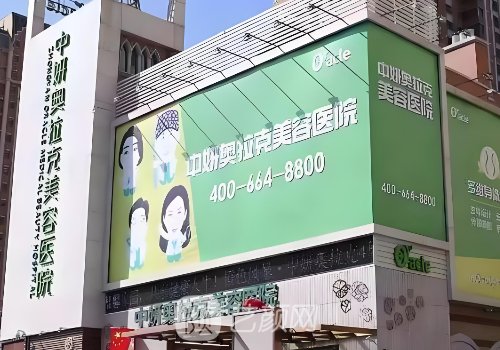 長春熱瑪吉價格公開分享